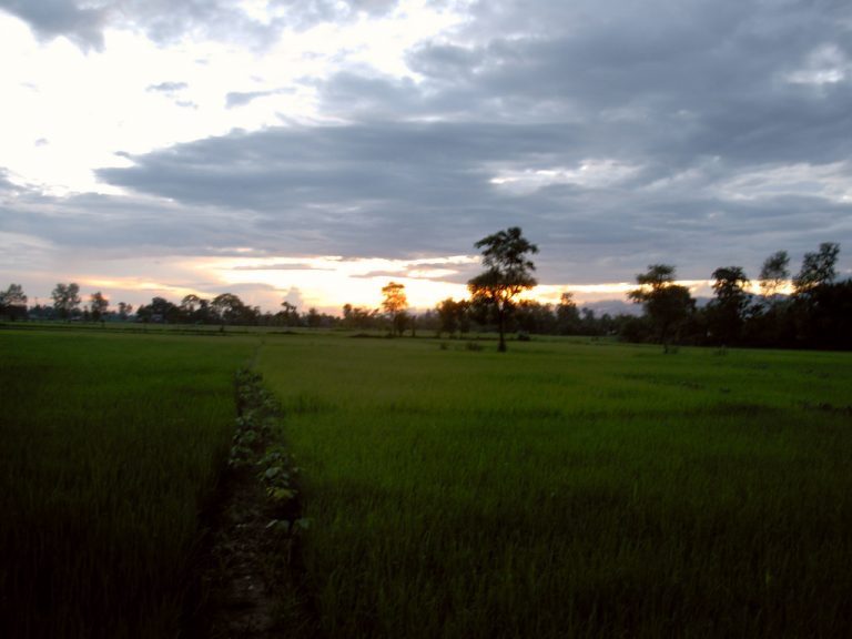 Terai Plains, Chitwan