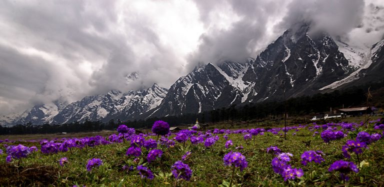 Valley of Flowers, Yumthang