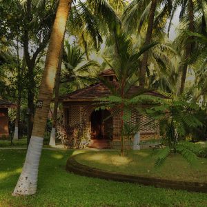 Ayurvedic Village, Kerala