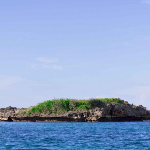 Crocodile Island, Boracay