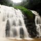 Abby Falls, Coorg